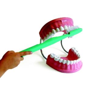 Arcada Dentária com escova gigante - Jott Play-TH-01