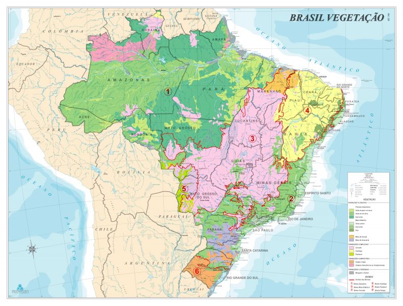 BRASIL BIOMAS E REAS INDGENAS