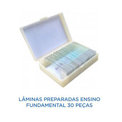 LMINAS PREPARADAS ENSINO FUNDAMENTAL 30 PEAS